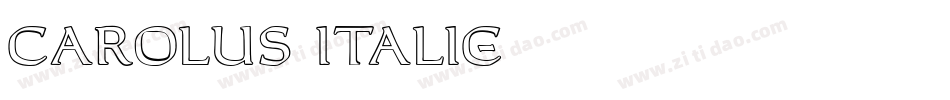 Carolus Italic字体转换
